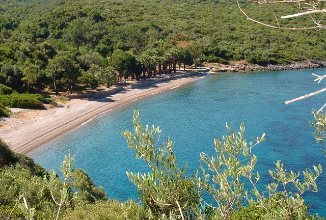 Ağva